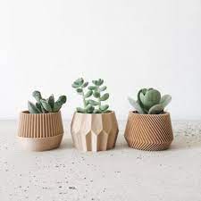 Plant Pots & Containers