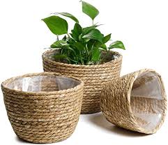 Seagrass Planter Basket Indoor, Flower Pots Cover, Plant Containers