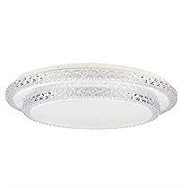 Dimmable LED Ceiling Light for Kitchen- White- OF-O9CY-NMYK